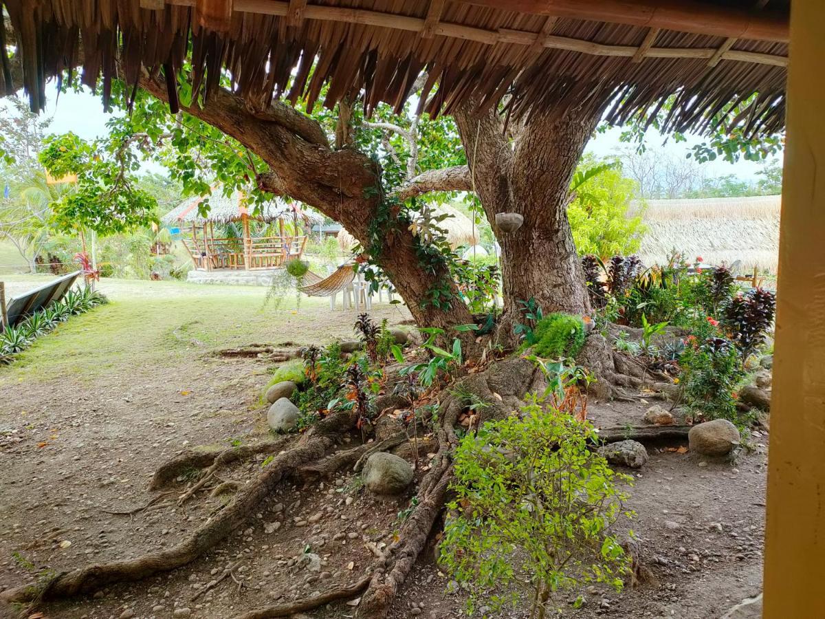 Grandview Cottages Resort Siaton ภายนอก รูปภาพ