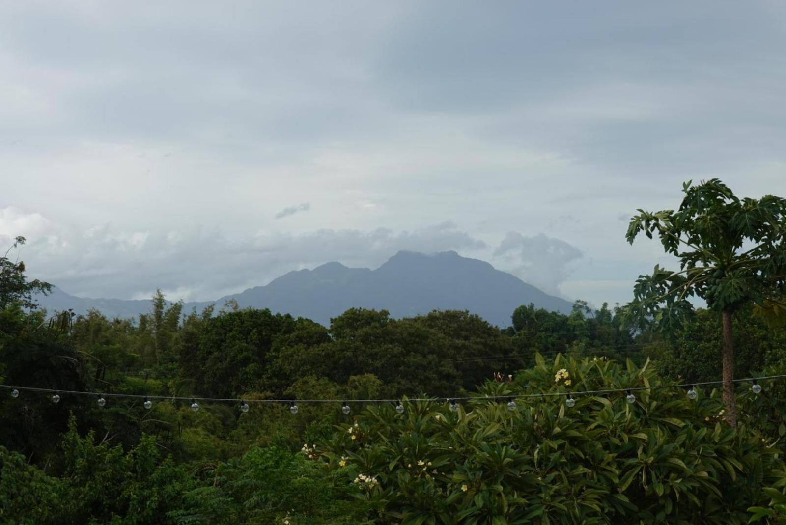 Grandview Cottages Resort Siaton ภายนอก รูปภาพ