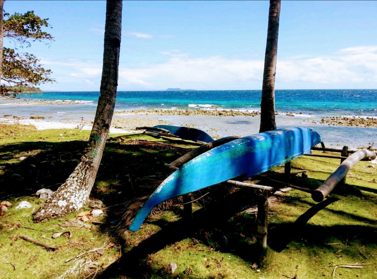 Grandview Cottages Resort Siaton ภายนอก รูปภาพ